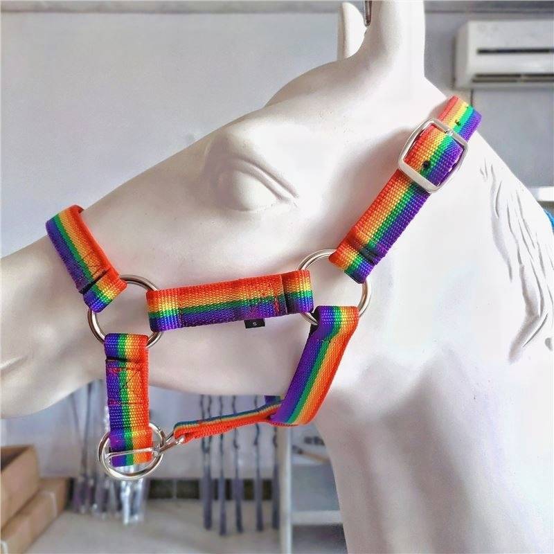 LARGE (1 M3 TO 1 M5) RAINBOW-T14